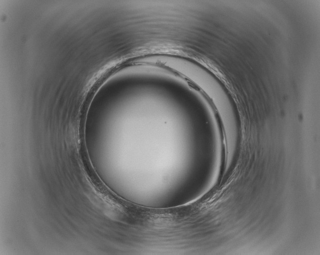 X0000067490438200604071208