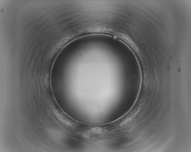 X0000067490441200604071208