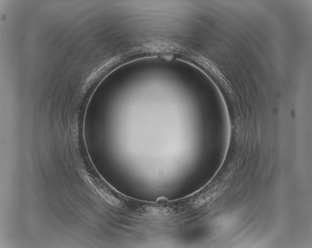 X0000067490442200604071208