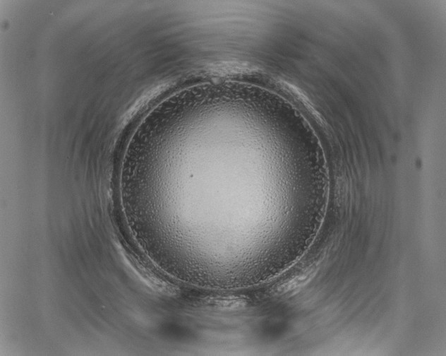 X0000067490443200604071208