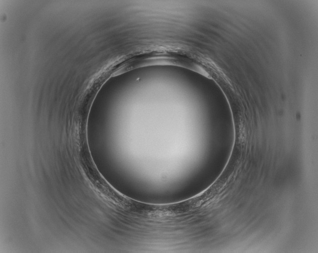 X0000067490444200604071208