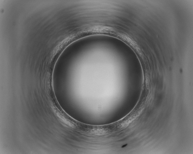 X0000067490445200604071208