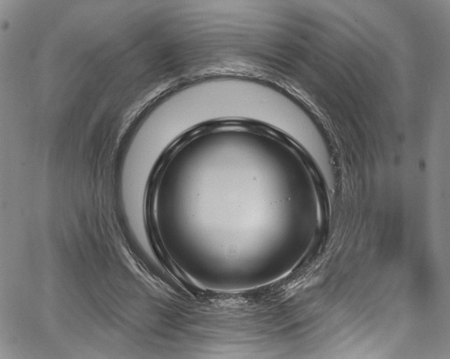 X0000067490446200604071208