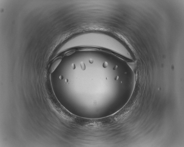 X0000067490447200604071208