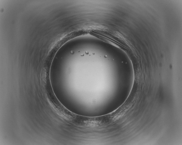 X0000067490448200604071208