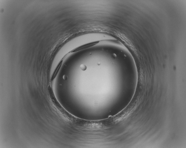 X0000067490449200604071208