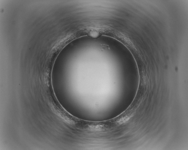 X0000067490450200604071208