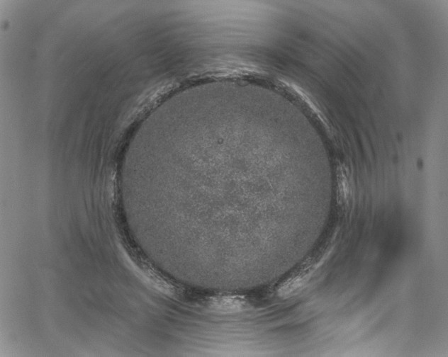 X0000067490451200604071208