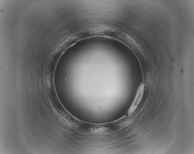 X0000067490452200604071208