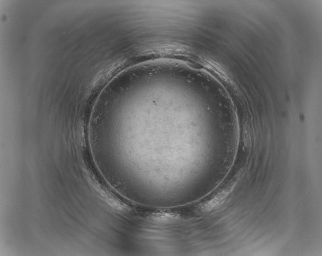 X0000067490453200604071208