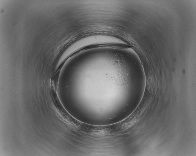 X0000067490454200604071208