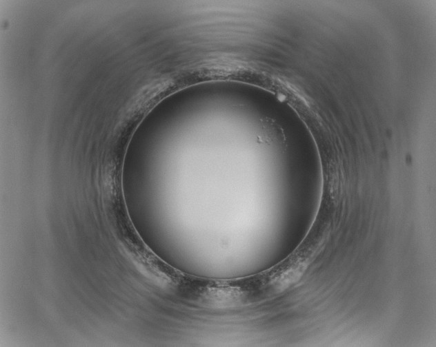 X0000067490455200604071208