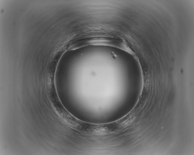 X0000067490456200604071208