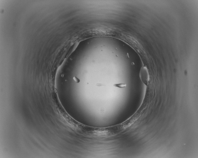 X0000067490457200604071208