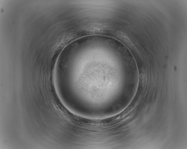 X0000067490458200604071208