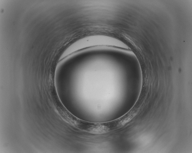 X0000067490459200604071208