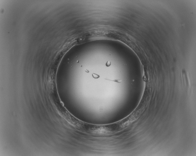 X0000067490460200604071208