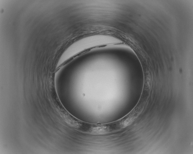 X0000067490461200604071208