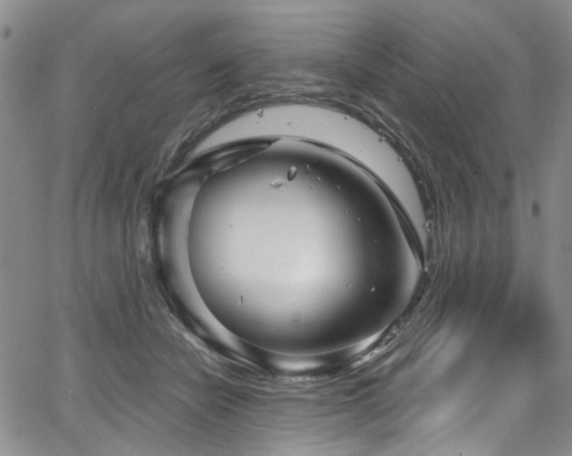 X0000067490462200604071208