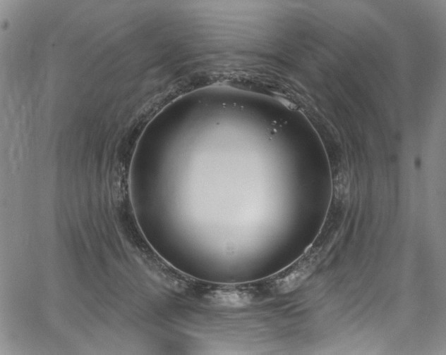 X0000067490464200604071208