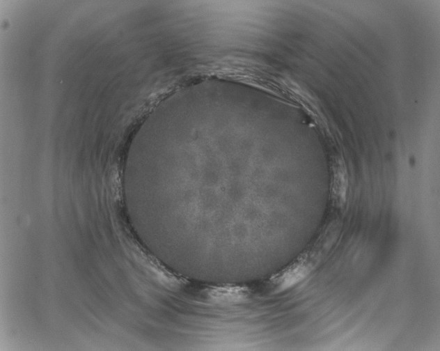 X0000067490465200604071208