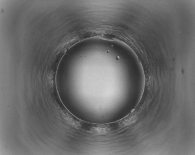 X0000067490466200604071208