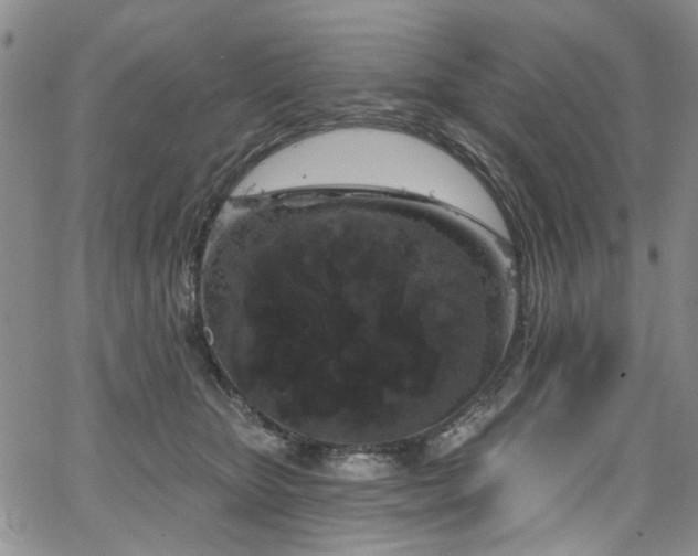 X0000067490467200604071208