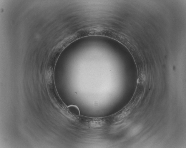 X0000067490468200604071208