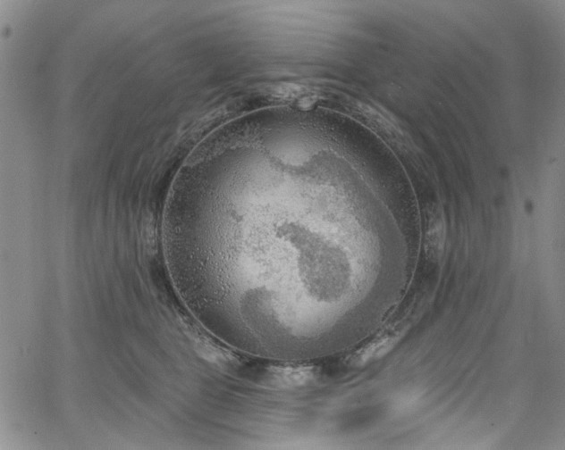 X0000067490469200604071208