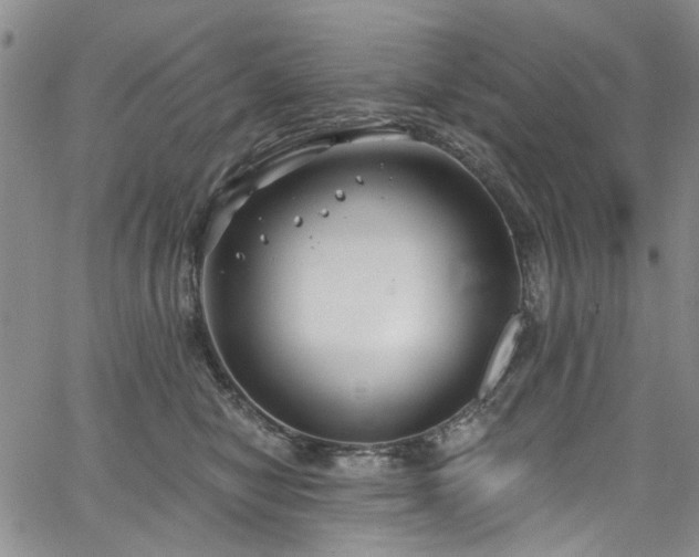 X0000067490470200604071208