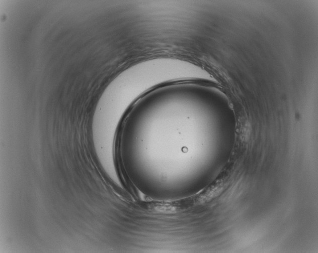 X0000067490471200604071208