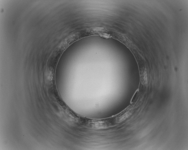 X0000067490472200604071208