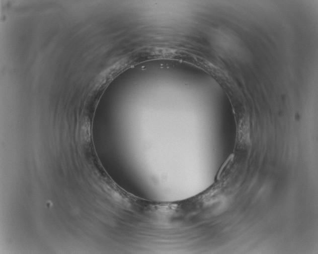 X0000067490474200604071208