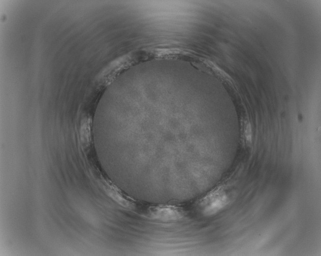 X0000067490475200604071208