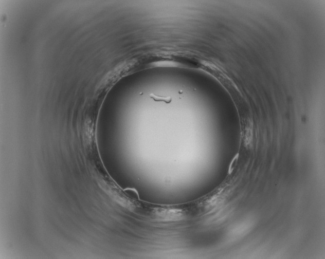 X0000067490476200604071208