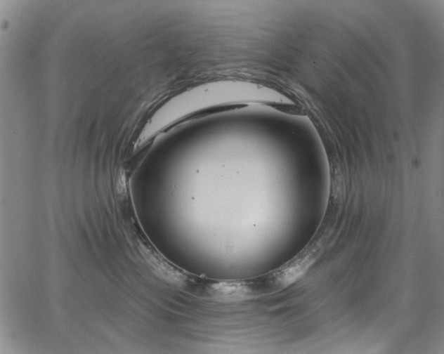 X0000067490477200604071208