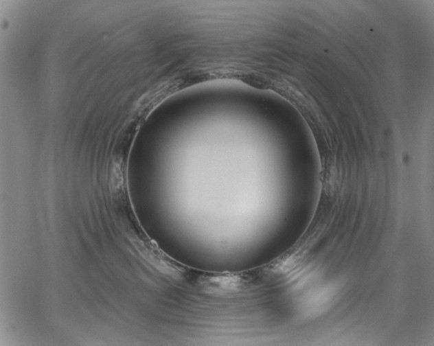 X0000067490478200604071208