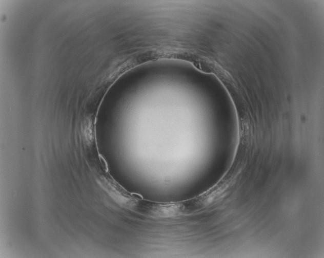 X0000067490479200604071209