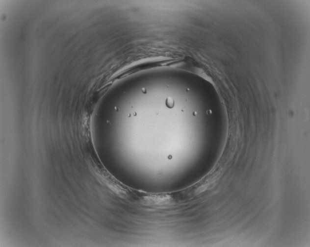 X0000067490480200604071209