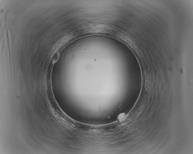 X0000067490482200604071208