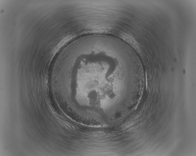 X0000067490483200604071208