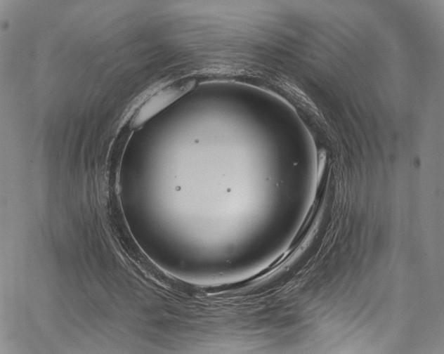 X0000067490484200604071208