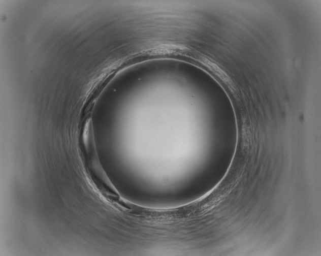 X0000067490485200604071208