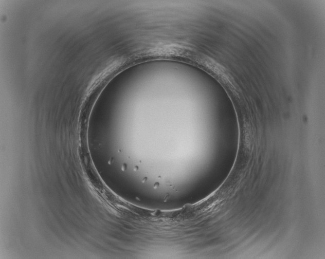 X0000067490486200604071208