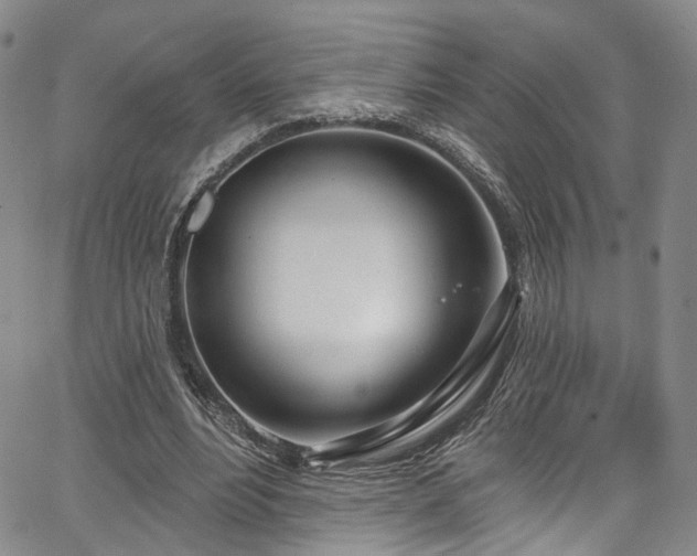 X0000067490488200604071208