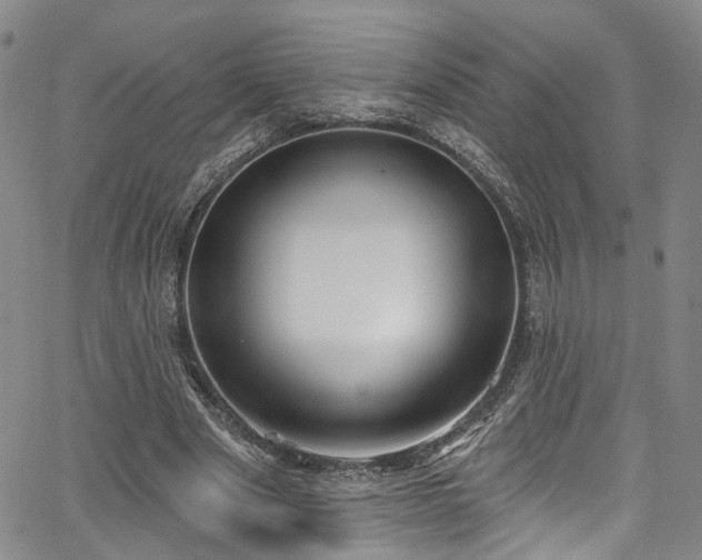 X0000067490489200604071208