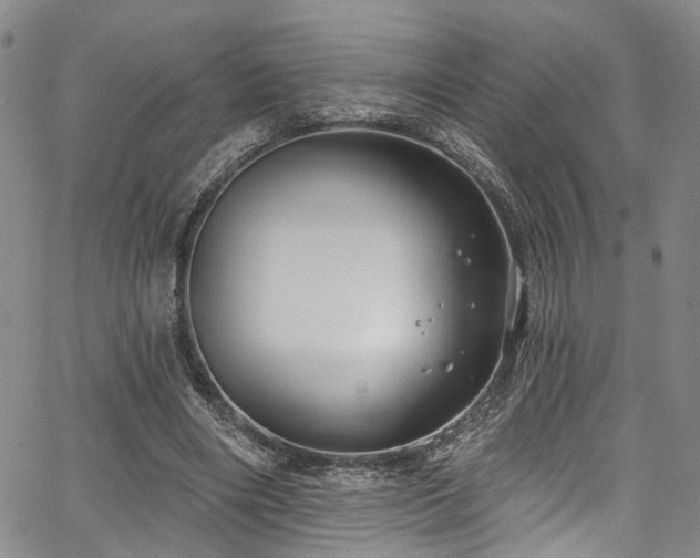 X0000067490490200604071208