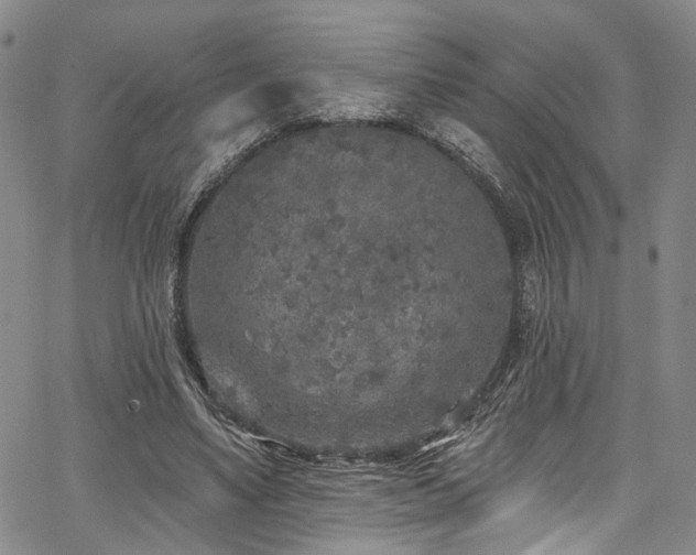 X0000067490491200604071208