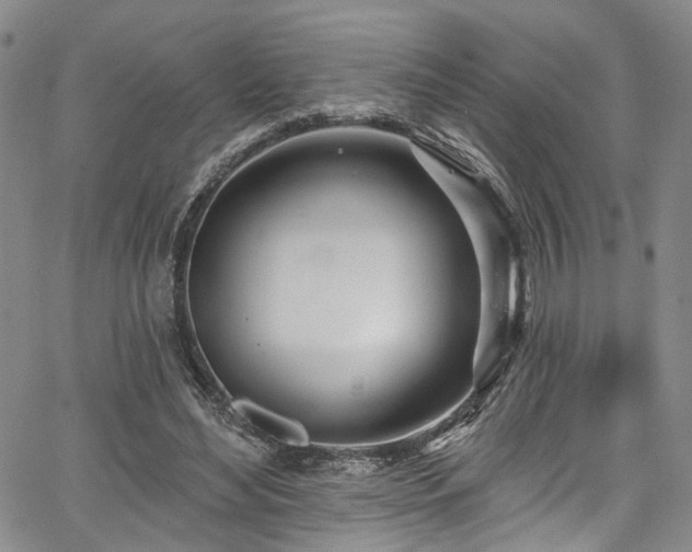 X0000067490492200604071208