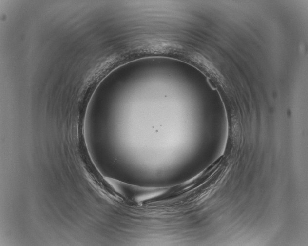 X0000067490493200604071208